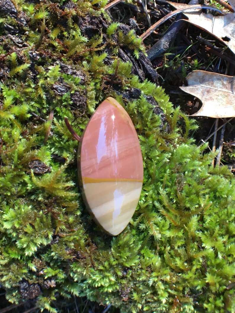Desert rose picture jasper freeform eye shape cabochon owyhee canyon bicolor
