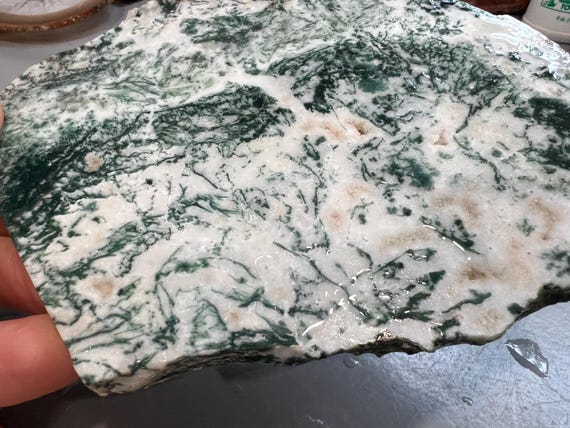 Green Tree Agate Slab, Large Druzy Gemstone Slice