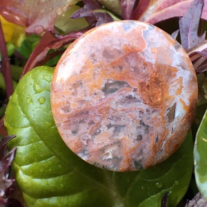 May include: A round, polished agate stone with a swirling pattern of white, orange, and brown. The stone has a natural, organic look.