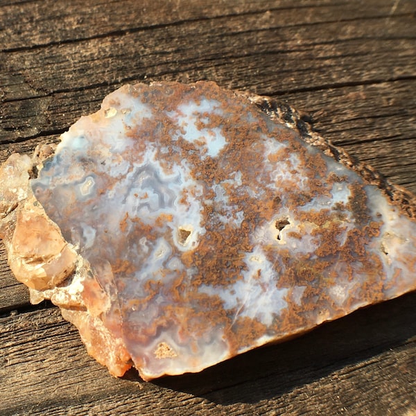 Orange Moss Agate slab gem mineral slice, fortification white clear orange mossy stone for jewelry or display B3 Lapidary