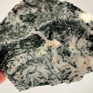 May include: A piece of moss agate gemstone, showcasing a natural pattern of dark green, fern-like inclusions within a creamy white base. The stone has a rough, irregular edge and is held in a hand.