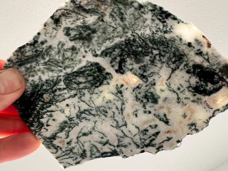 May include: A piece of moss agate gemstone, showcasing a natural pattern of dark green, fern-like inclusions within a creamy white base. The stone has a rough, irregular edge and is held in a hand.