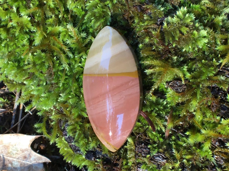 Desert rose picture jasper freeform eye shape cabochon owyhee canyon bicolor