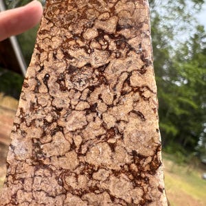 May include: A close-up of a natural stone slab with a unique pattern. The stone features a mix of tan and brown colors, with intricate, swirling patterns throughout. The texture appears rough and organic, suggesting a raw, unprocessed material. The stone is held by a hand.