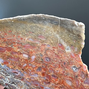 May include: A close-up of a polished stone slab with a layered pattern. The stone features bands of red, brown, and tan hues, with intricate patterns and textures. The surface has a smooth, polished finish, highlighting the natural colors and details.