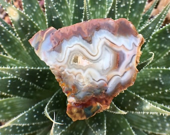 Banded Lace Agate Druzy Slab: Gemstone Slice for Jewelry Display