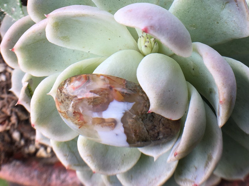 Egg shaped plume agate with green purple under water seascape moss agate thunder egg