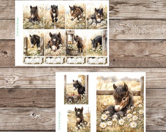 Foal in Daisies, Scrapbook Supplies, Seasonal Stickers