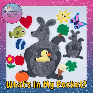 May include: A felt craft activity set with a grey kangaroo with a pocket, a yellow duck, a green fish, a red apple, a green shamrock, a blue and white striped ball, a red heart, a yellow sun, a purple butterfly, a green tree, a grey baby kangaroo, an orange pumpkin, and a brown ice cream cone. The text "What's In My Pocket?" is at the bottom of the image.