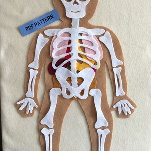 My Body Educational Felt Pattern, Bones and Organs, Montessori Inspired Educational Science Toy - PDF PATTERN ONLY