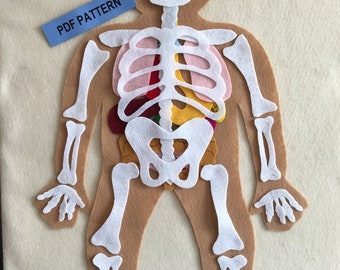 Modello in feltro educativo My Body, ossa e organi, giocattolo scientifico educativo ispirato a Montessori - SOLO MODELLO PDF