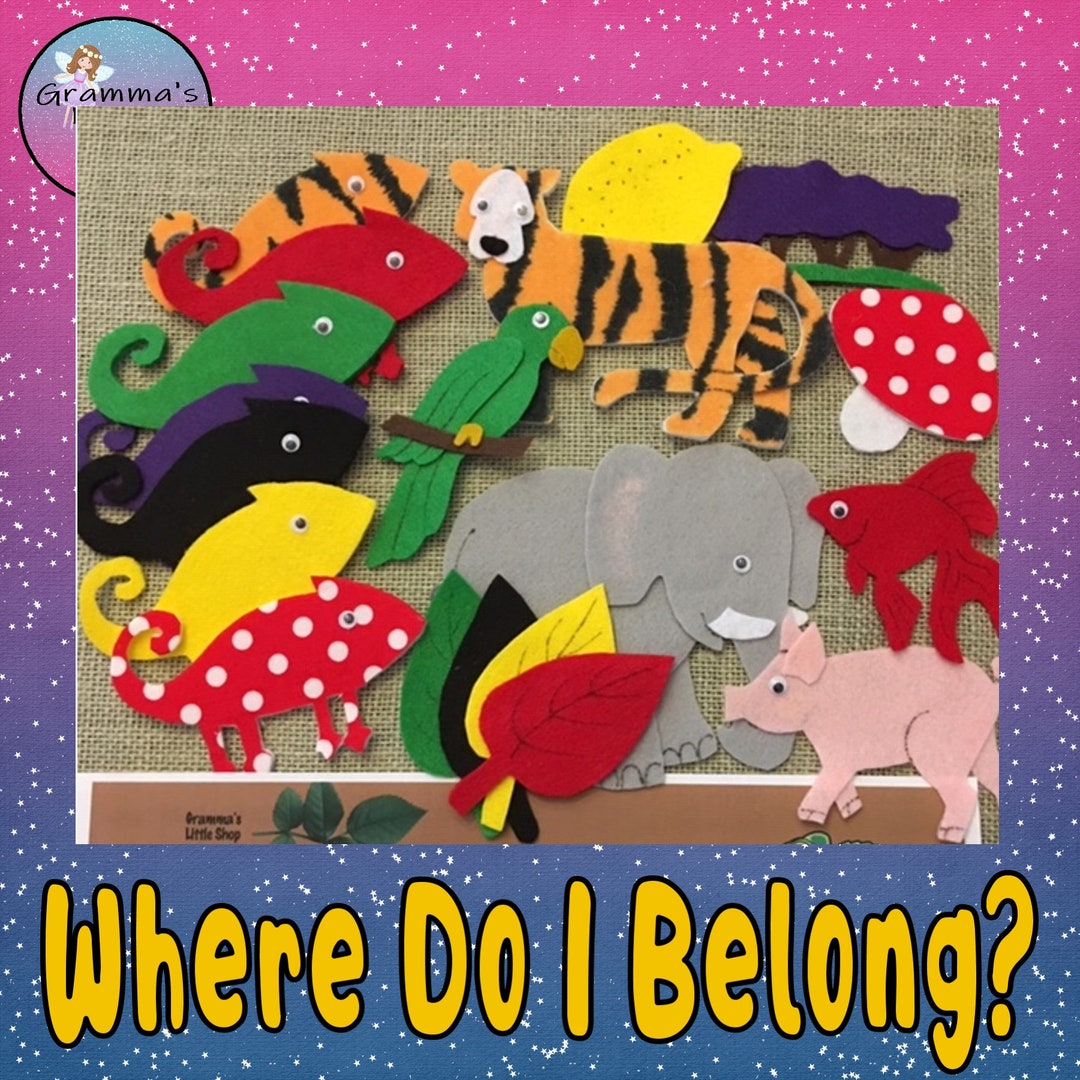 Where Do I Belong Felt Board Pattern to Be Used on a Felt Board PDF