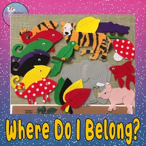 May include: A colorful felt set of animals and objects for a children's game. The game is called "Where Do I Belong?" and features a tiger, elephant, chameleon, fish, pig, parrot, and more.