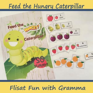 Flisat Printable DIY for Hungry Caterpillar, Story Sequencing Flisat Insert,  Printable Flisat Insert, Sensory Inserts, Trofast Bin Insert