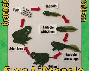 Frog Life Cycle Felt Story Board Pattern - DIY Downloadable Pattern