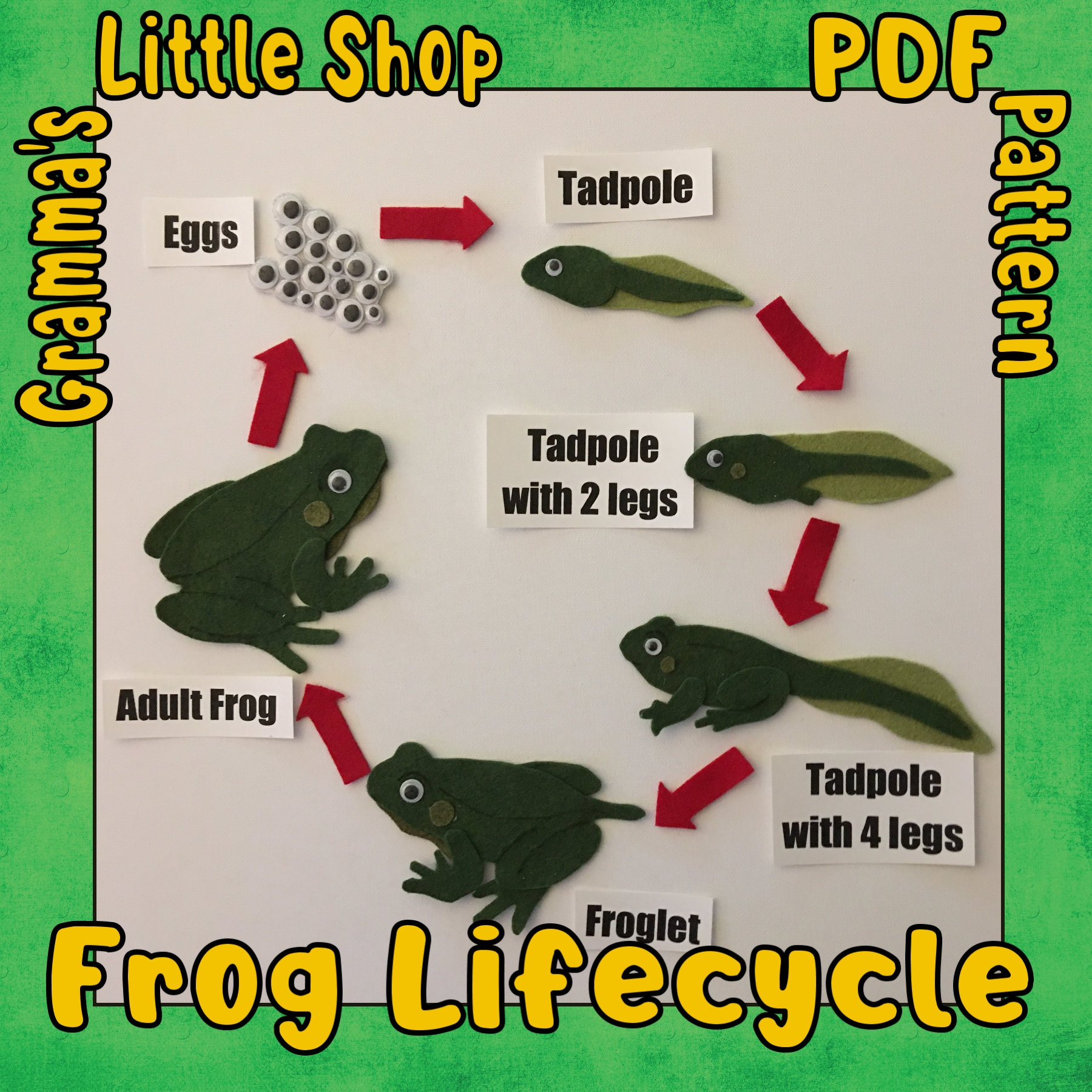 Frog cycle showroom near me new arrivals