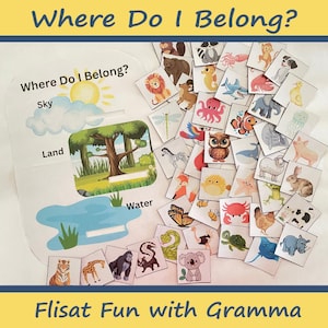 Op de afbeelding: Een kleurrijk educatief spel voor kinderen met verschillende dieren en de woorden "Waar hoor ik thuis?" Het spel bevat een bord met secties voor de lucht, het land en het water. De dieren bevinden zich op individuele kaarten en kunnen worden gekoppeld aan de juiste sectie van het bord.