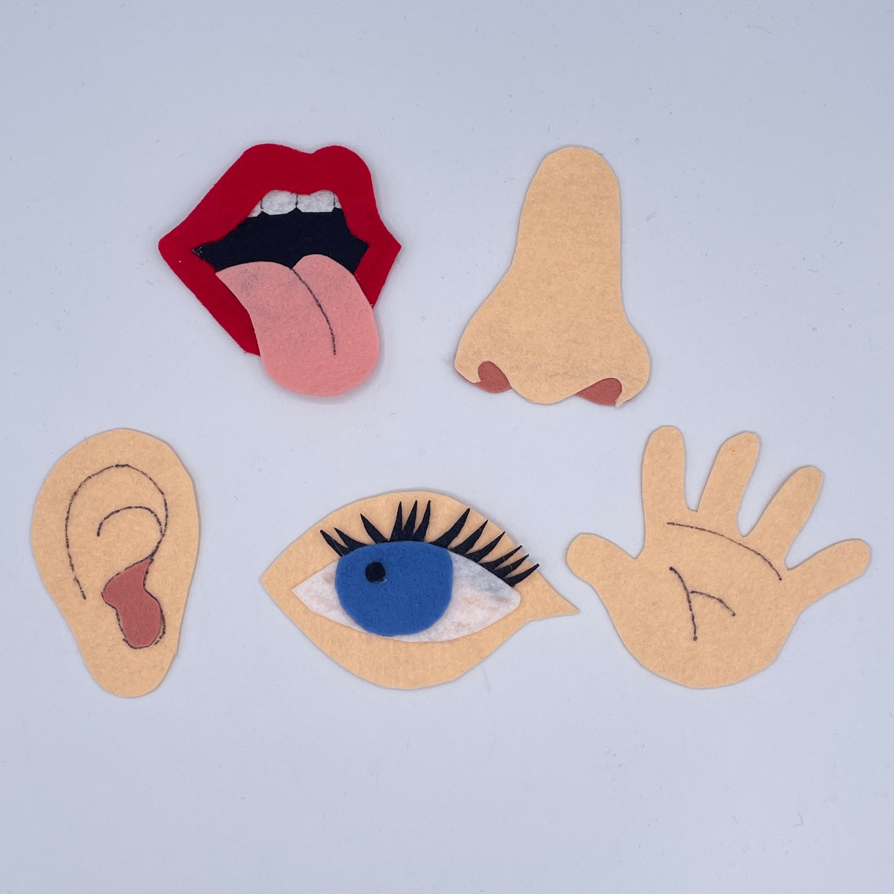 37 Fabulous Felt Crafts For Kids: Simple and Budget-Friendly 23 5 Senses Felt Craft Set: 5 Items for Each Sense, Directions, and…