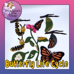 Butterfly Life Cycle Felt Board Pattern - Perfect for Interactive Science Lessons for Kids - DIY Downloadable Pattern