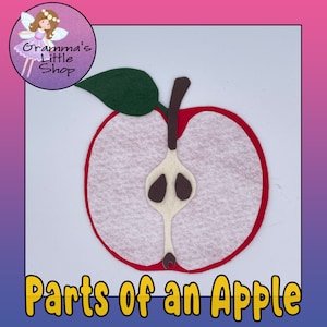 Apfel Anatomie Filzlehre mit Anleitung und Arbeitsblatt