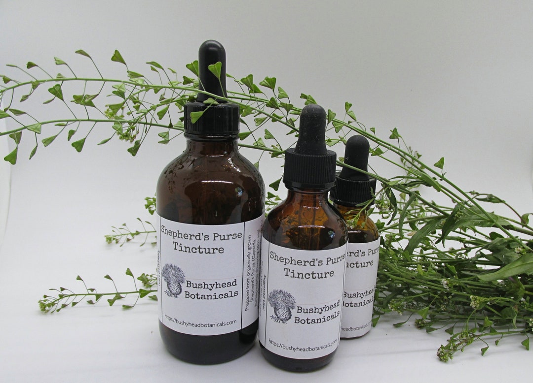 Shepherd's Purse Extract Capsella Bursapastoris Shepherd's Purse