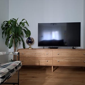 May include: A light wood entertainment center with four drawers and a curved front. A flat screen television is mounted above the entertainment center. A globe and a potted plant are on the left side of the entertainment center.