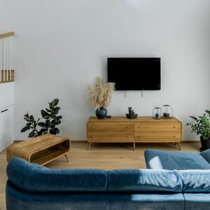 May include: A blue velvet sectional sofa with a wooden coffee table and a wooden dresser with a flat screen TV mounted above it. There are plants and a vase with dried flowers on top of the dresser.
