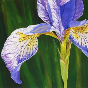 Original 12x16 Acrylic Flower Painting on Canvas, Purple Iris Painting, Wall Art, Floral Painting, Realistic Flower Painting