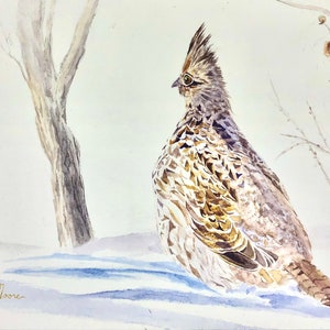 Original 8x10 Watercolor Bird Painting, Ruffed Grouse Painting, Game Bird Art, Scientific Illustration Style Watercolor