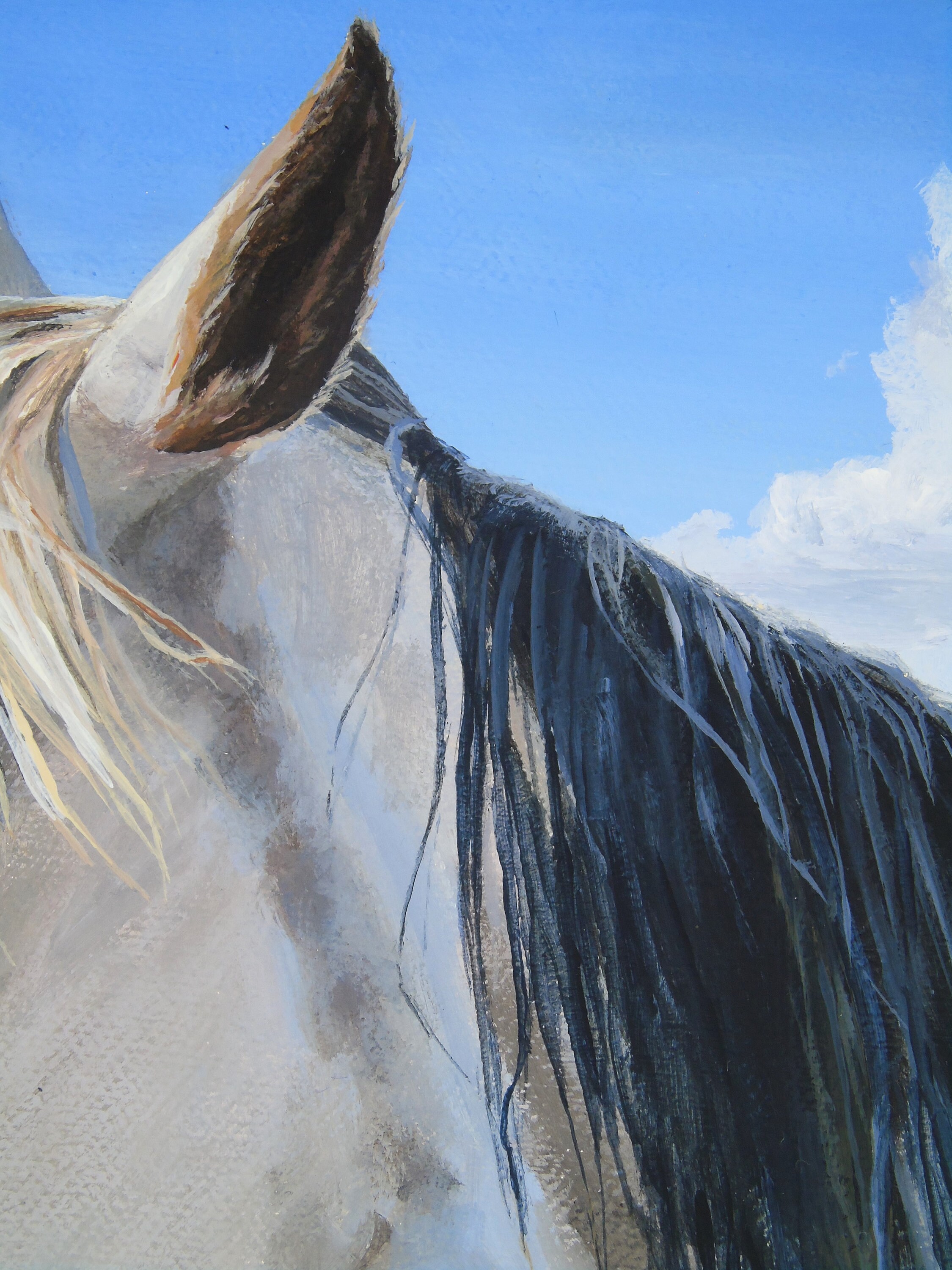 Original 12x16 Horse Painting on Canvas, Original Acrylic Animal