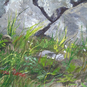 May include: An original painting of a natural landscape featuring gray rocks and vibrant green grass. The artwork captures the interplay of light and shadow, with a focus on the textures of the rocks and foliage. The artist's signature is visible.