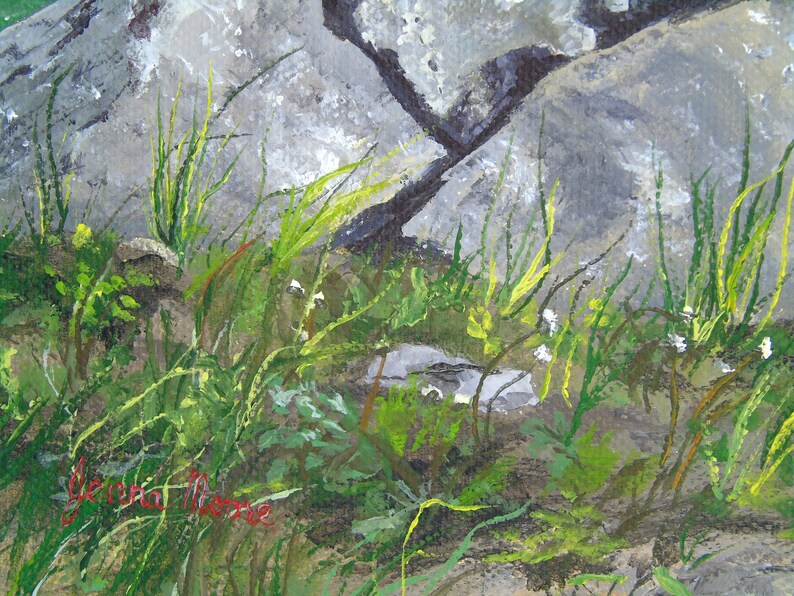 May include: An original painting of a natural landscape featuring gray rocks and vibrant green grass. The artwork captures the interplay of light and shadow, with a focus on the textures of the rocks and foliage. The artist's signature is visible.