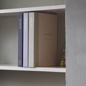 May include: Three hardback books in shades of blue, grey, and beige are displayed on a white shelf. The spines of the books are labelled "ELIJAH", "MARGOT", and "DYLAN". The book on the right is labelled "DYLAN" on the cover.