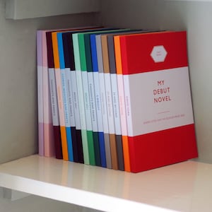 Puede incluir: Una estantería con una fila de 15 libros, todos con cubiertas de diferentes colores. El libro de la derecha es rojo y tiene el título "My Debut Novel" con el texto "Shortlisted for the Booker Prize 2030".
