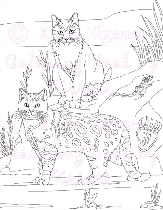 Little Witches and Wild Things, Adult Coloring Page, Cat Coloring Page,  Fantasy Coloring, Digital Download Coloring Page, Coloring Book 