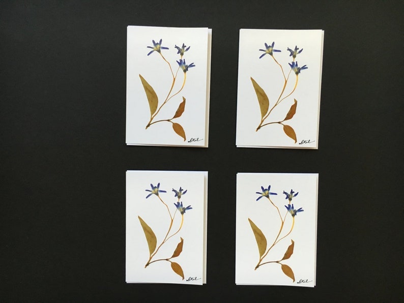 One Three Flowers Card Print 3x5 image 1
