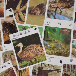 10 cartões de fatos sobre animais vintage: itens educacionais para diários de lixo, scrapbooking e mídia mista (4,25 x 5 pol.)