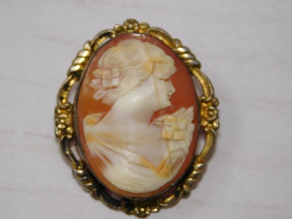 Vintage Cameo, Unmarked Carved Shell, Pin Brooch - image 1