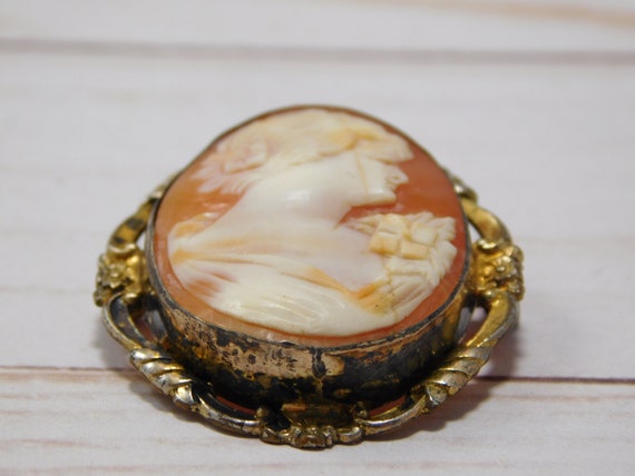Vintage Cameo, Unmarked Carved Shell, Pin Brooch - image 6