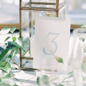 Antique Blue Letterpress Table Numbers | Set of 20 or 30 cards image 2