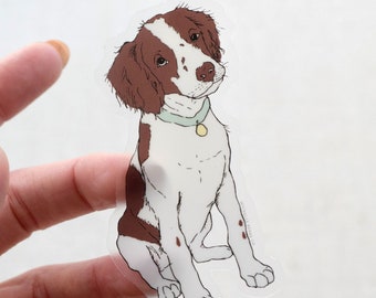Fígado e Spaniel de Brittany branco <br>de <br> Entrega Rápida? Adesivo de vinil transparente | adesivo para laptop | Adesivo para garrafa de água