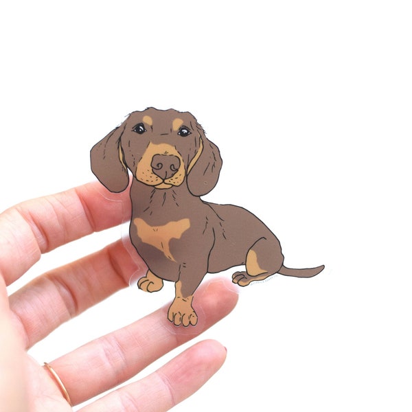 Dachshund Sticker | Clear Vinyl Sticker | Laptop Sticker | Water Bottle Sticker