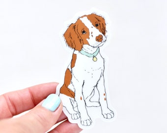 Brittany Spaniel-klistermärke | Genomskinlig vinylklistermärke | Laptopklistermärke | Vattenflaskklistermärke