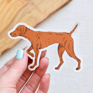 Vizsla Dog Sticker | Clear Vinyl Sticker | Laptop Sticker | Water Bottle Sticker