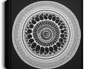 Ammonite Mandala Graphic Design on Square Canvas