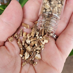 Dandelion Root/ rootwork/ dried dandelion root pieces/ botanica/ apothecary