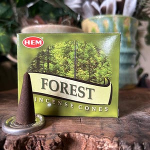 HEM Incense Forest Cones/ aromatherapy/ meditation / Clean Scent/ Woodsy/ Incense Cone/ Gift