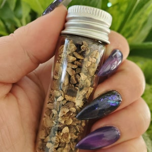Devils claw root/ rootwork/ exorcism/ hoodoo/ voodoo/ witchcraft/ spells/ altar/ metaphysical supplies/ spiritual supplies/ protection