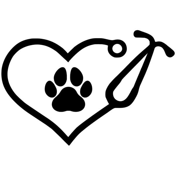 Stethoscope paw window vinyl decal for Veterinary | Etsy