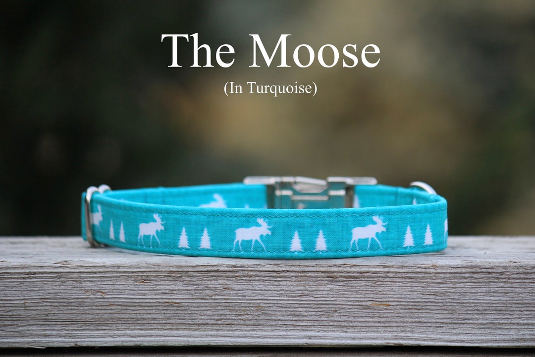 Turquoise Moose Dog Collar Fabric Dog Collar Plastic or Metal Hardware